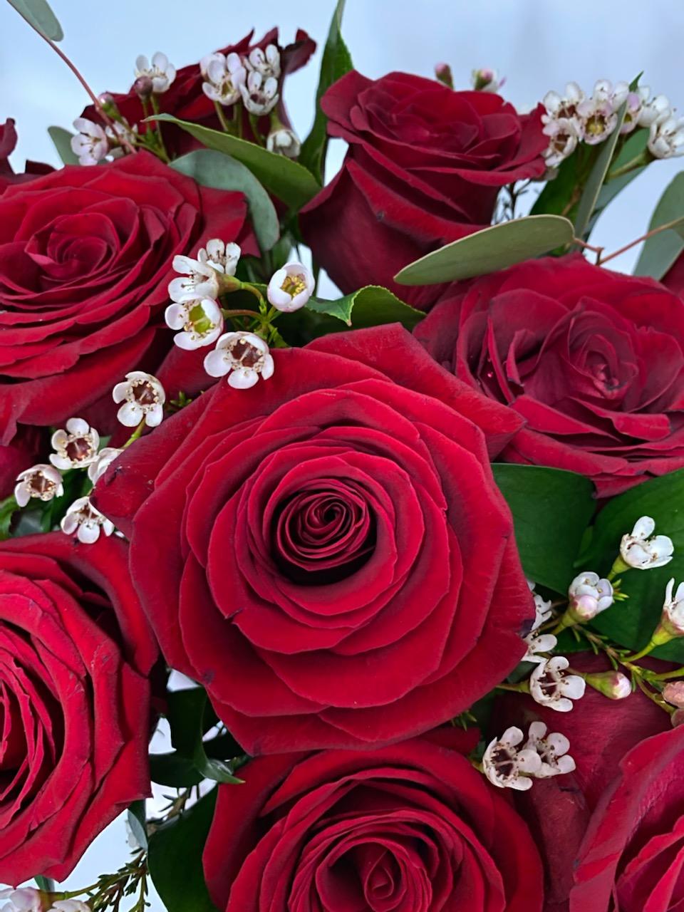 50 Fresh Red & Black Glitter Roses Hatbox